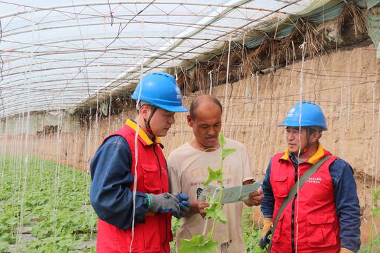 3月14日，国网吐鲁番供电公司党员服务队在高昌区二堡乡蔬菜大棚基地向种植户宣传“网上国网”使用方法。刘栋 摄