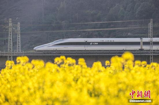 3月13日，“和谐号”动车组从油菜花田驶过。