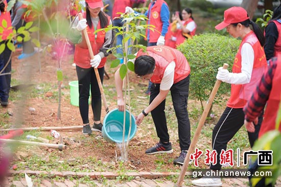 图为志愿者们正在给栽种好的树苗浇水。杨元福 摄