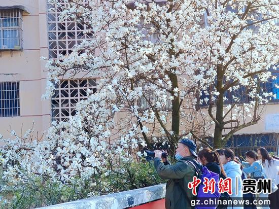 市民在贵阳市白云区朝晖路天桥上驻足拍照。