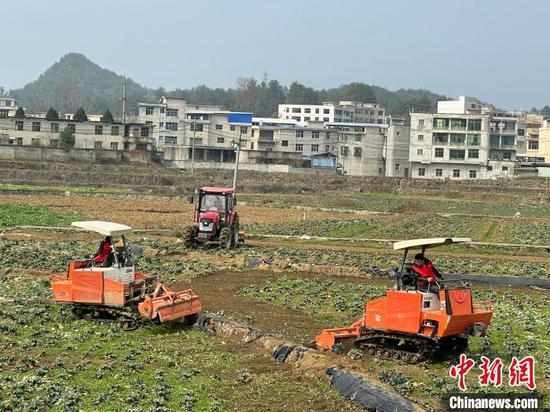 资料图：姚林和农机人员驾驶旋耕机翻新土地。　周燕玲　摄