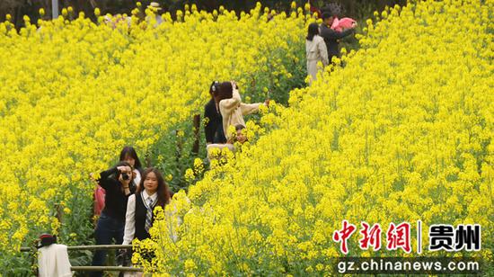 市民在贵阳市花溪区十里河滩拍照。