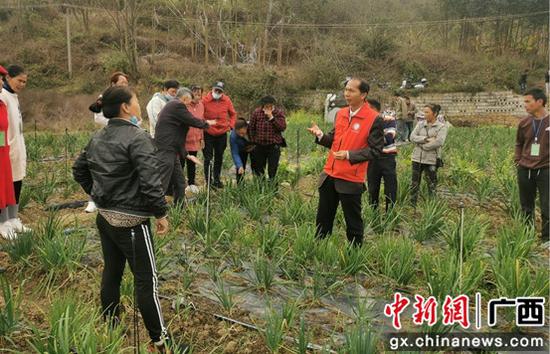 图为广西大学农学院硕士研究生导师唐小付菜园现场教学。