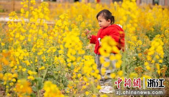 孩童在油菜花田嬉戏 王健供图