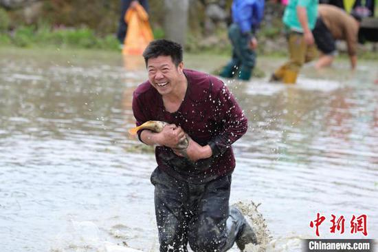 贵州剑河油菜花节举行稻田捉鱼活动，参与比赛的民众捉到鱼后兴高采烈。　刘梦 摄