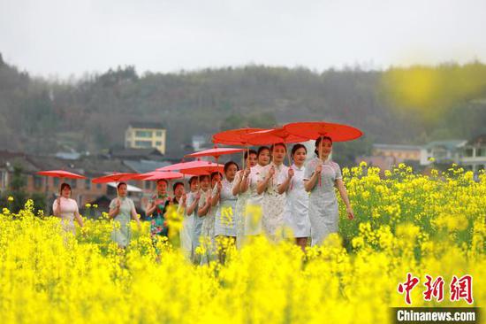 在贵州剑河南明大坝，身着旗袍的游客在油菜花田里款款而行。　杨家孟 摄