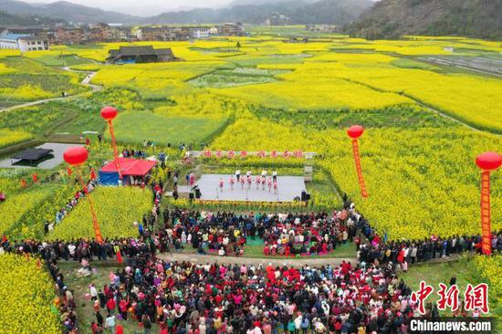 贵州剑河油菜花节在该县南明大坝千亩油菜花田开幕。　杨家孟　摄