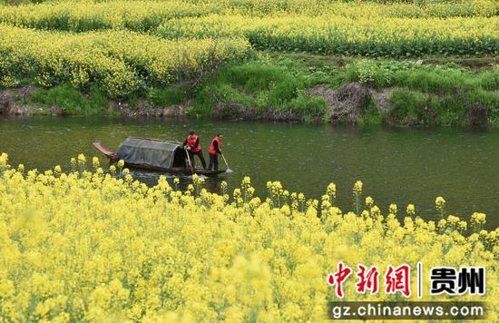 在贵州省铜仁市松桃苗族自治县世昌街道石花社区河段，志愿者在清理河面漂浮物