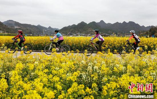骑行爱好者在施秉县城关镇上翁哨村油菜花海中骑行。 磨桂宾 摄 骑行爱好者在施秉县城关镇上翁哨村油菜花海中骑行。 磨桂宾 摄
