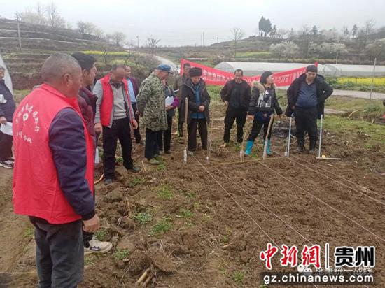 图为施秉县土专家、田秀才深入田间地头指导农业发展现场 图为施秉县土专家、田秀才深入田间地头指导农业发展现场