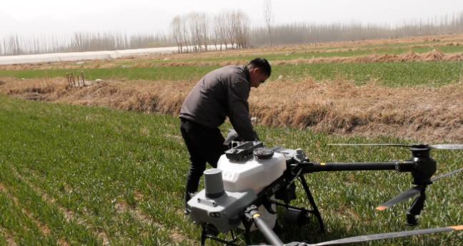 乌什县无人机喷洒农药 高科技助力小麦增收