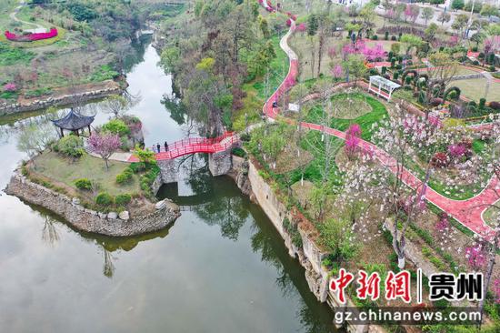 4月1日，航拍贵州福泉洋桥公园春色。 瞿宏伦 摄