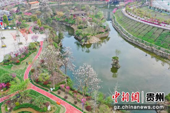 4月1日，航拍贵州福泉洋桥公园春色。 瞿宏伦 摄