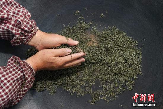 5/10
4月2日晚，贵定县云雾镇一家茶叶加工坊工人用传统手工方式将“云雾贡茶”揉制成形。