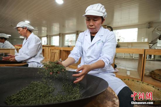 4月2日，贵定县云雾镇一家茶叶加工坊工人用传统手工方式制作“云雾贡茶”。