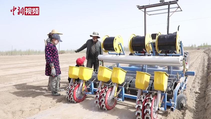 新疆喀什地區500余萬畝棉花全程機械播種