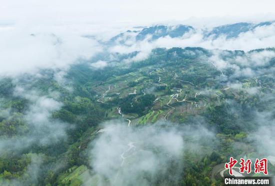 航拍贵州务川乡村云雾缭绕。　唐哲 摄