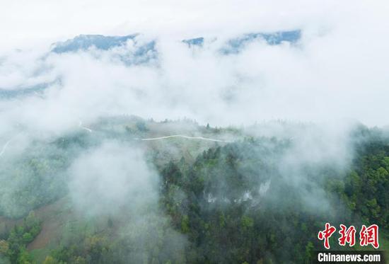 航拍贵州务川乡村云雾缭绕。　唐哲 摄