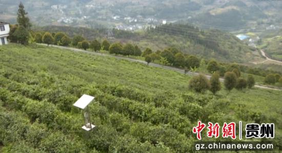 庞飞 摄