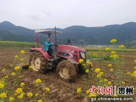 普觉镇猫猫屯坝区农技人员在耕地   胡伟摄