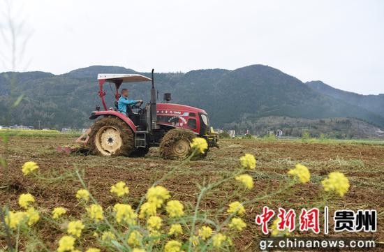 普觉镇猫猫屯坝区农技人员在耕地    胡伟摄
