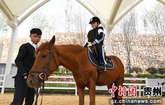 4月11日，在贵阳市南明区建华实验小学的马术骑乘课上，学生们正在贵阳国际马术运动中心的专业教练的指导下完成正确上下马、慢步、控缰等动作。