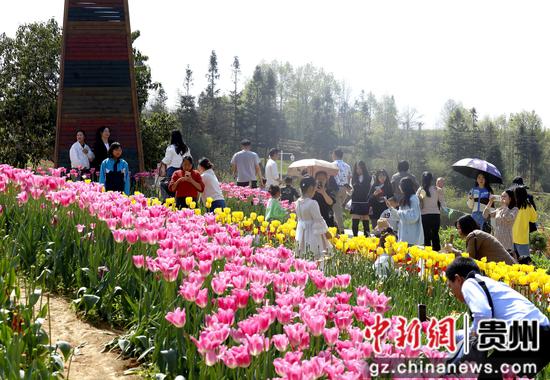 2023年4月8日拍摄贵州施秉县牛大场镇药谷山庄游客们在花间拍照。