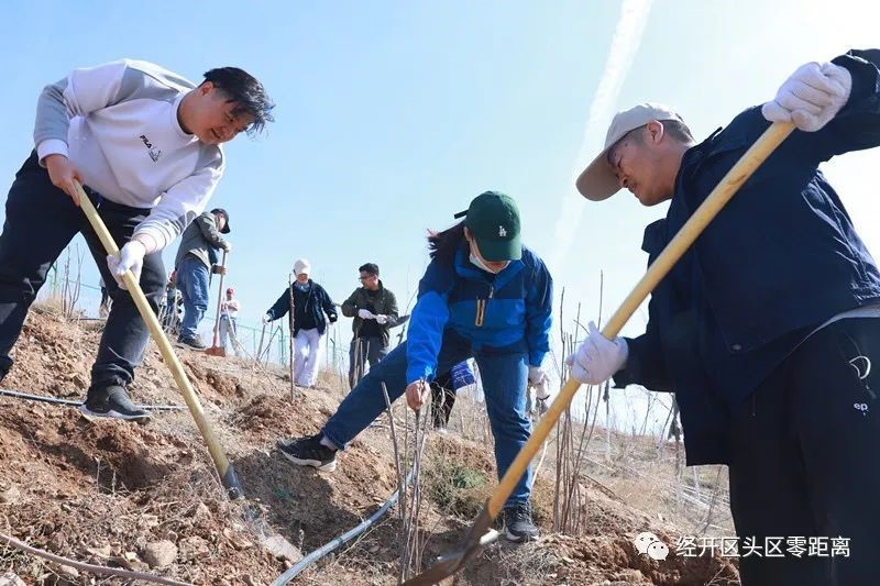 植樹造林 烏魯木齊經開區(qū)春季將新增綠化面積600畝