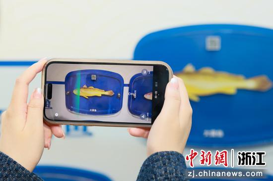 市民拍摄鱼类照片。郑蓉供图