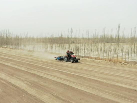 一辆辆播种机在田间地头来回穿梭
