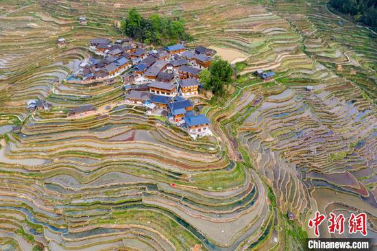 4月17日，在贵州省从江县加榜乡党扭村拍摄的梯田景色(无人机照片)。　吴德军 摄