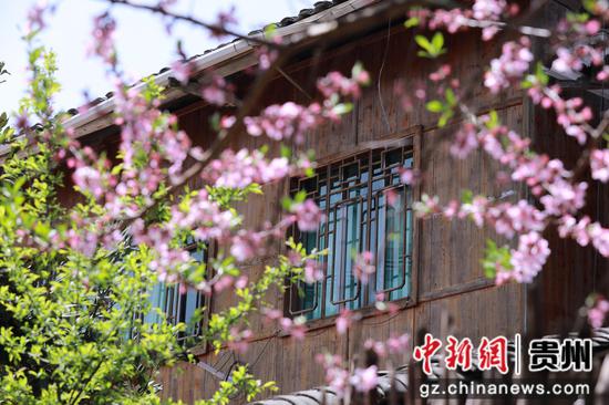 洞脚村民居