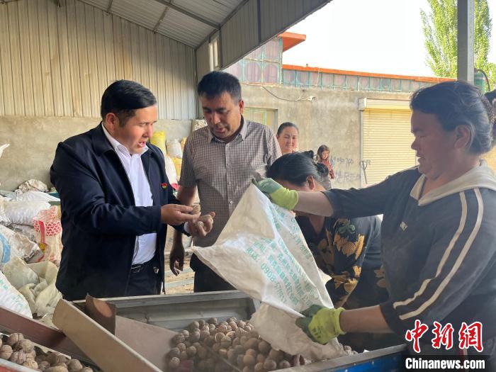 阿卜迪麥麥提·奧布力（圖左）和村民探討核桃質(zhì)量。　趙飛　攝