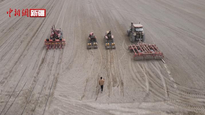 乌什县： 黄豆“套”玉米 助力粮食稳产增收