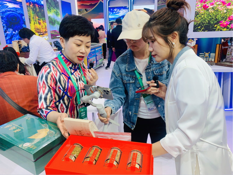 第二届中国（武汉）文化旅游博览会上精河县文旅宣传推介亮点多