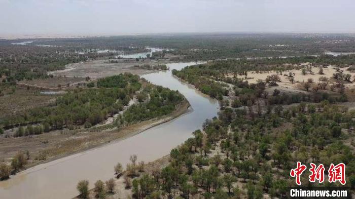 新疆实施第24次向塔里木河下游生态输水
