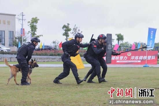 警察和警犬在演练中。  徐梓齐（实习生） 摄