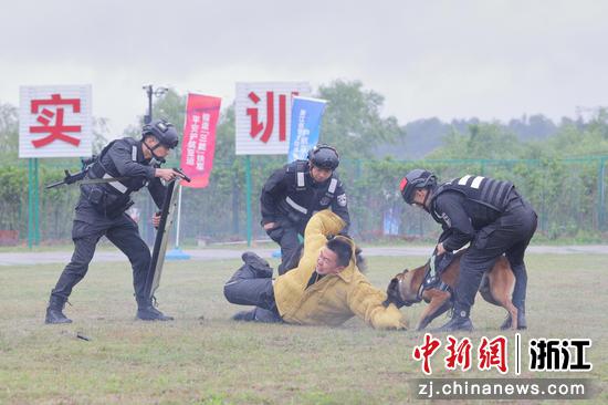 警察和警犬在演练中制服“暴徒”。  徐梓齐（实习生） 摄