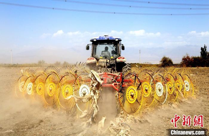 推动农业绿色发展 新疆兵团如何让农田告别“白色污染”？