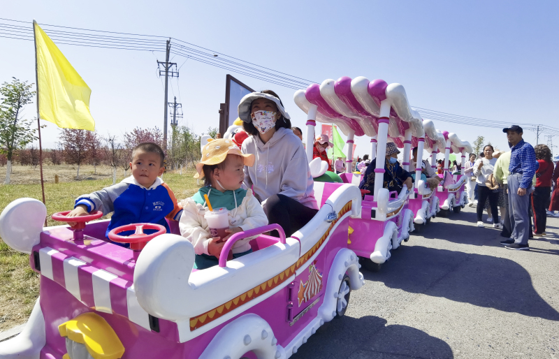 “灵壤博乐 海棠花开”博乐市第五届海棠文化旅游节在此开幕。汤永 摄