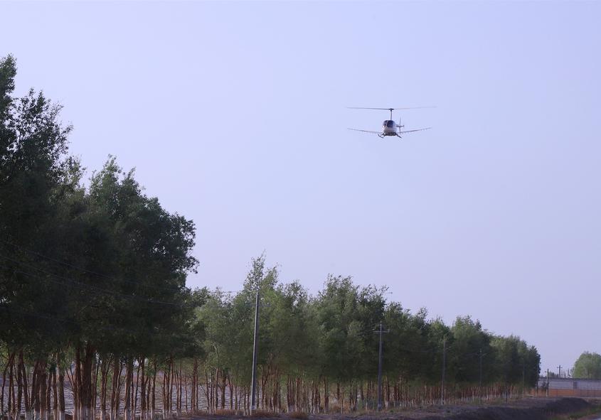 best365官网登录兵团：直升机“飞防”大漠中“绿色走廊” 