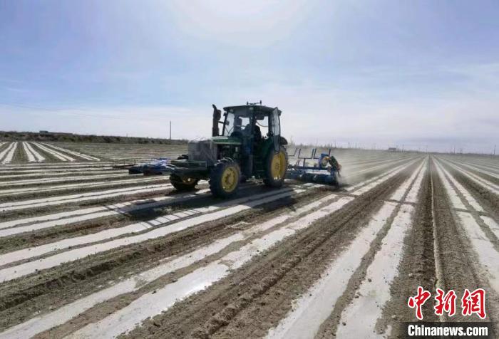 “无人化”管理的棉田会成为新疆棉花种植的未来样本吗？