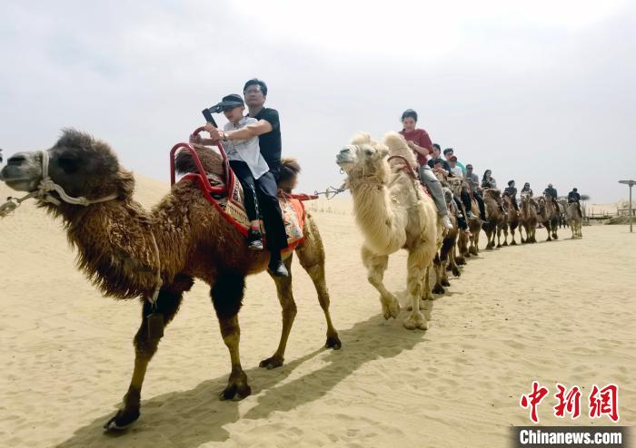 在尉犁縣羅布人村寨旅游景區(qū)里，各地游客騎著駱駝，沉浸式體驗(yàn)沙漠親子時(shí)光?！⒓选z