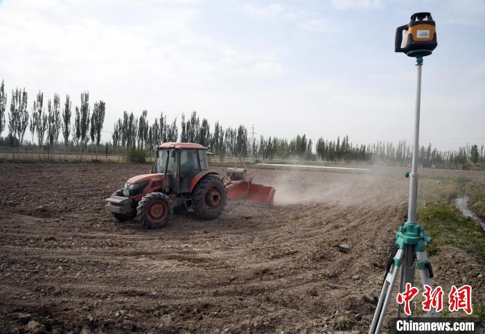 新疆喀什市万亩海水稻开始播种育秧