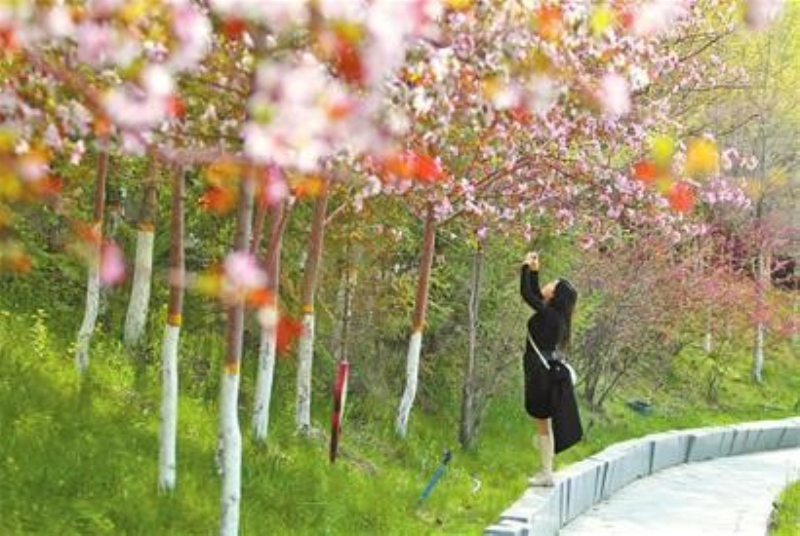 5月6日，立夏，天氣微涼。在南湖市民廣場，市民漫步樹林間、花叢中，樂享休閑時光。

