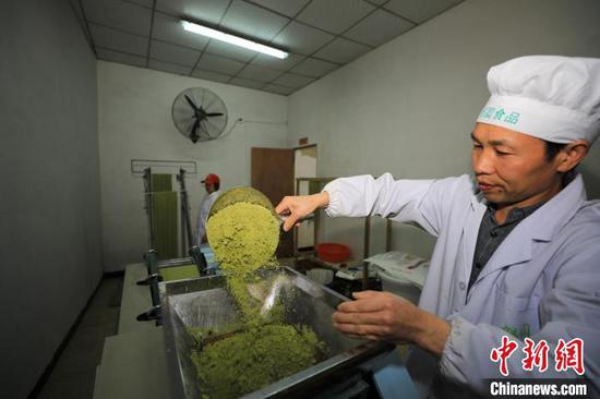 工人在贵州省江口县双江街道一家食品加工企业加工抹茶面条。　李鹤　摄