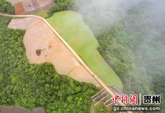 2023年5月6日，航拍的贵州省黔东南苗族侗族自治州施秉县白垛乡石家湾村生态田园。磨桂宾 摄