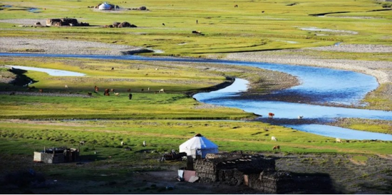 1.28亿元！新疆喀什地区6万余户农牧民喜领草原生态保护补助奖励金