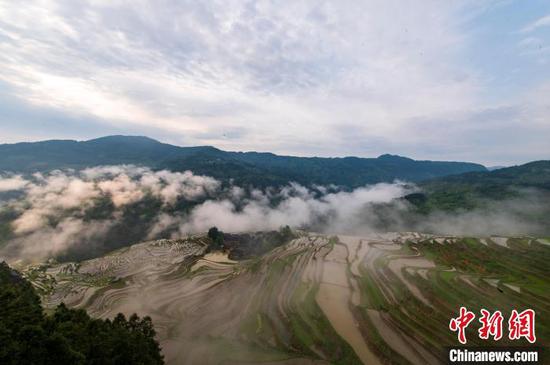 5月12日，贵州从江县的加榜梯田云雾缭绕。　吴德军 摄