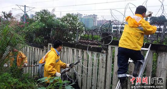 图为玉林工务段职工在冒雨进行防护栅栏滚刺茏整治修复作业。陈斌贤  摄